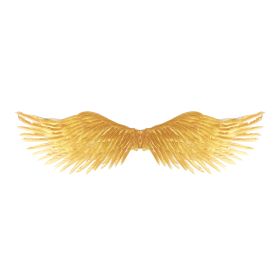 Andělská křídla zlatá RAPPA