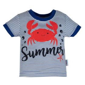 Kojenecké tričko s krátkým rukávem a tepláčky New Baby Summer Modrá